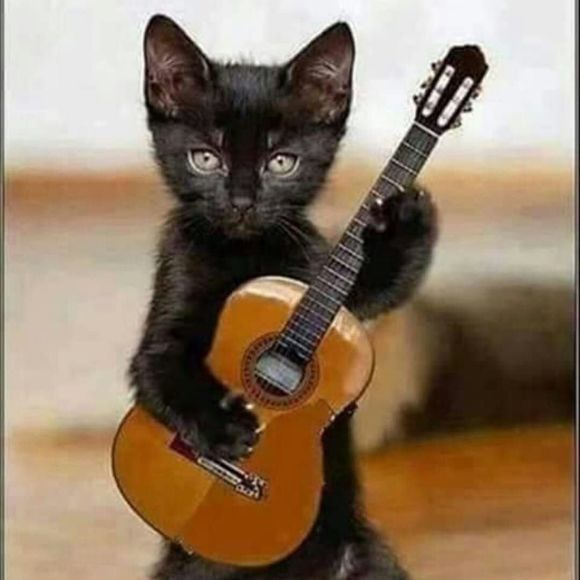 Meet your Posher, Daniel - Picture 1 of 1